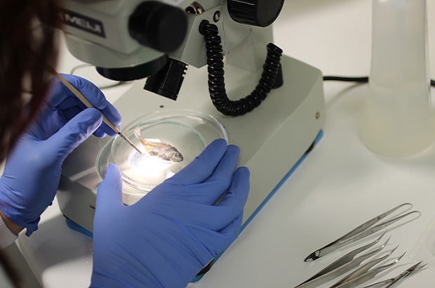 Aqua Diagnostics